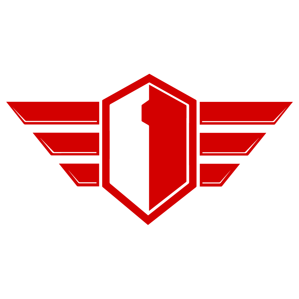 LEWIS FLYERS Logo