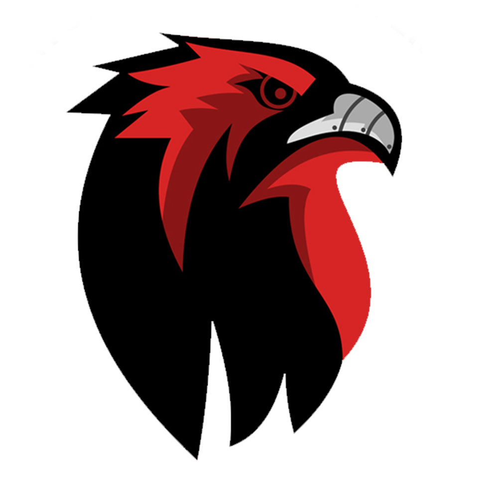MSU CYBER HAWKS Logo