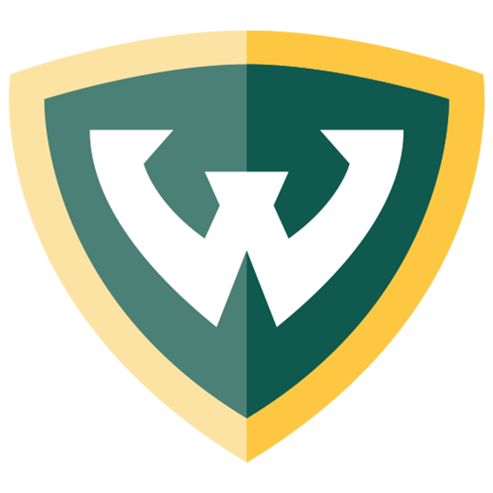 WSU ACADEMY Logo