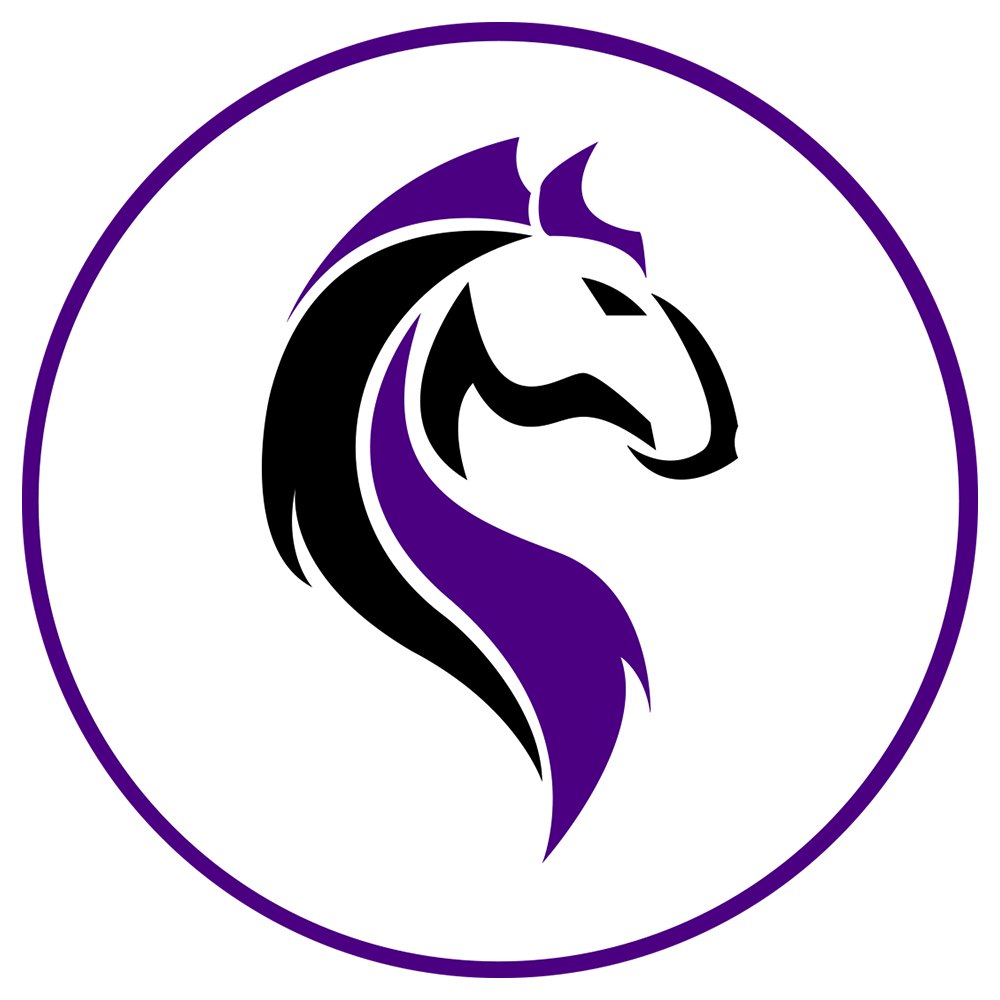 WESTERN ESPORTS Logo